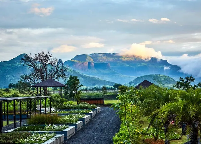 Viveda Wellness Resort